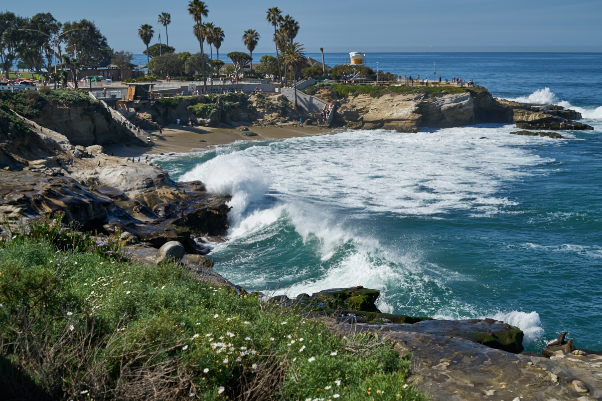 La Jolla Cove Surf 20160212